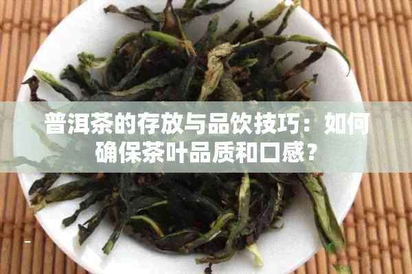 普洱茶的存放与品饮技巧：如何确保茶叶品质和口感？