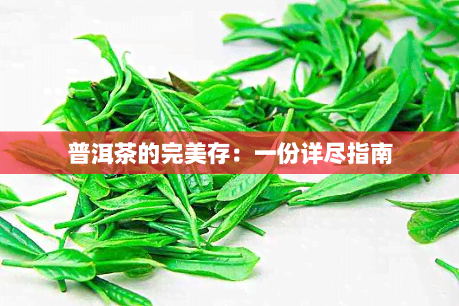 普洱茶的完美存：一份详尽指南