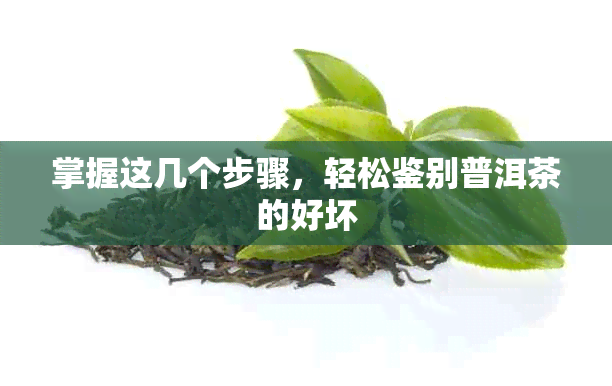 掌握这几个步骤，轻松鉴别普洱茶的好坏