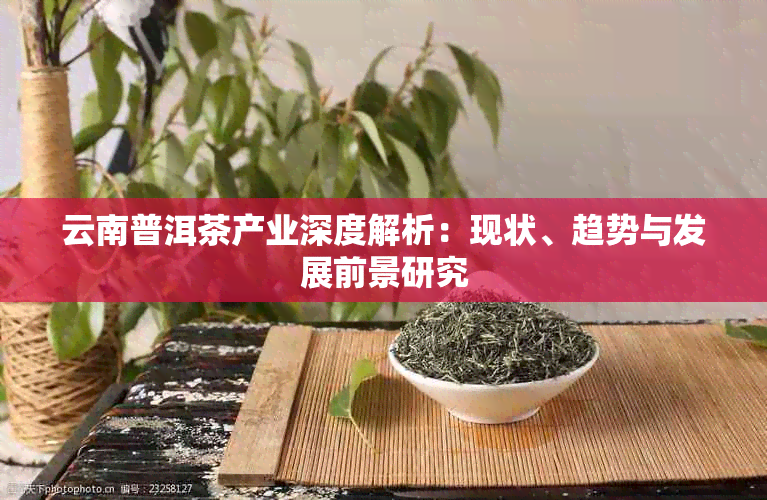 云南普洱茶产业深度解析：现状、趋势与发展前景研究