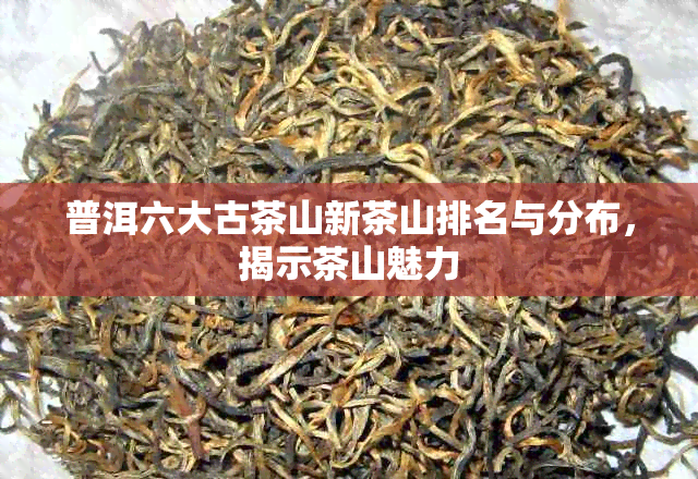 普洱六大古茶山新茶山排名与分布，揭示茶山魅力