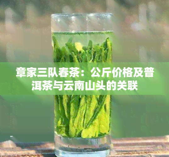 章家三队春茶：公斤价格及普洱茶与云南山头的关联