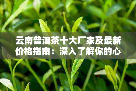 云南普洱茶十大厂家及最新价格指南：深入了解你的心头好