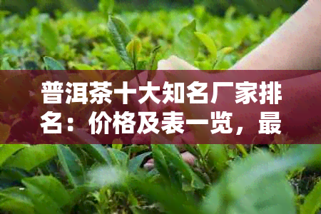 普洱茶十大知名厂家排名：价格及表一览，最新排名更新