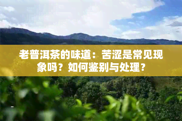 老普洱茶的味道：苦涩是常见现象吗？如何鉴别与处理？