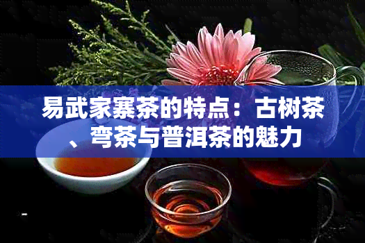 易武家寨茶的特点：古树茶、弯茶与普洱茶的魅力