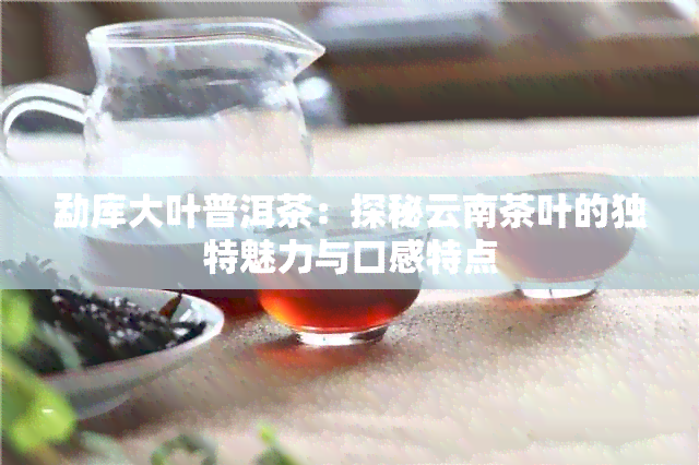 勐库大叶普洱茶：探秘云南茶叶的独特魅力与口感特点