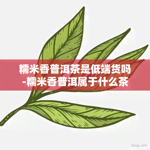 糯米香普洱茶是低端货吗-糯米香普洱属于什么茶