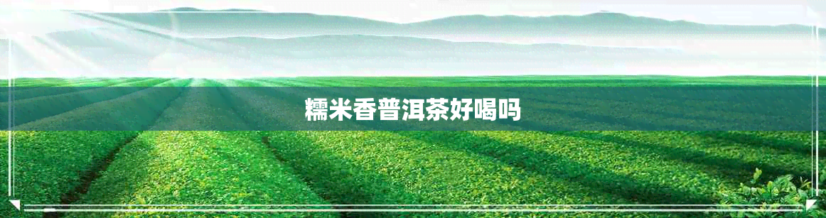 糯米香普洱茶好喝吗