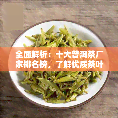 全面解析：十大普洱茶厂家排名榜，了解优质茶叶与选购指南