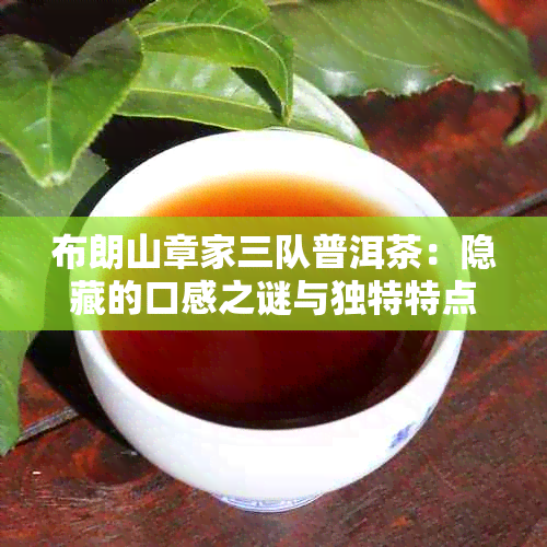 布朗山章家三队普洱茶：隐藏的口感之谜与独特特点