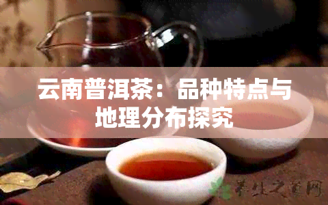 云南普洱茶：品种特点与地理分布探究