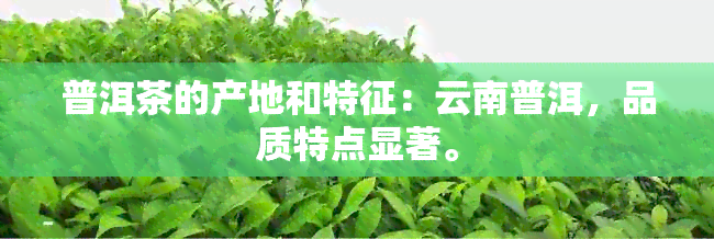 普洱茶的产地和特征：云南普洱，品质特点显著。