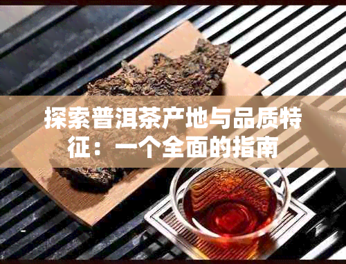 探索普洱茶产地与品质特征：一个全面的指南