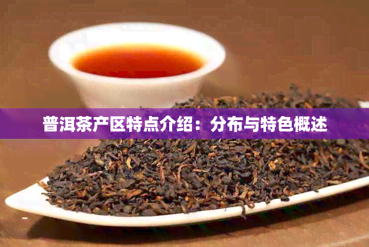 普洱茶产区特点介绍：分布与特色概述