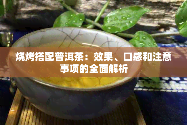 烧烤搭配普洱茶：效果、口感和注意事项的全面解析