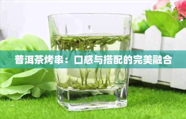 普洱茶烤串：口感与搭配的完美融合