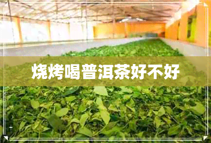 烧烤喝普洱茶好不好