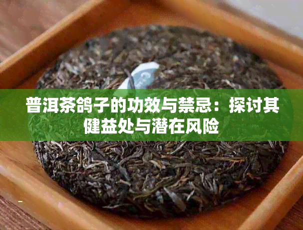 普洱茶鸽子的功效与禁忌：探讨其健益处与潜在风险