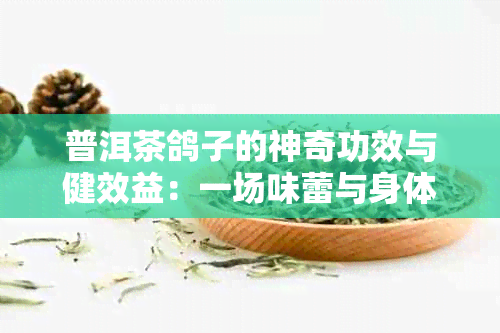 普洱茶鸽子的神奇功效与健效益：一场味蕾与身体的双重宴