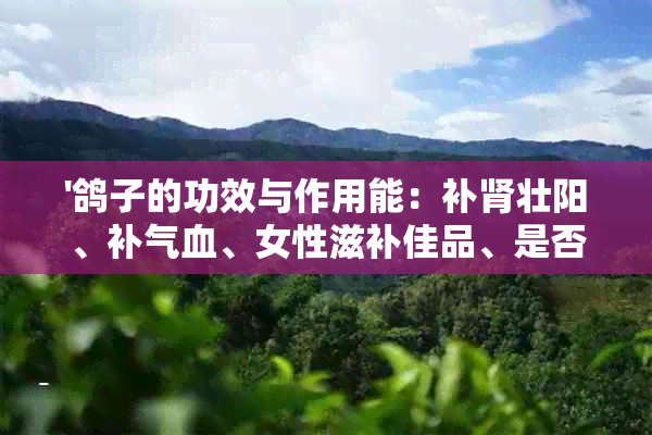 '鸽子的功效与作用能：补肾壮阳、补气血、女性滋补佳品、是否可增高？'