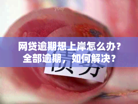 网贷逾期想上岸怎么办？全部逾期，如何解决？