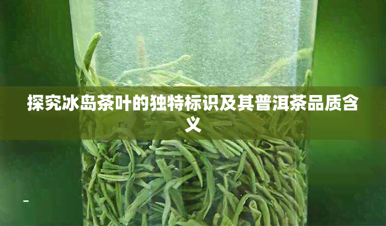 探究冰岛茶叶的独特标识及其普洱茶品质含义