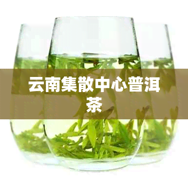 云南集散中心普洱茶