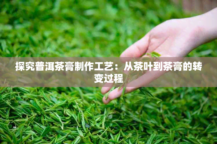 探究普洱茶膏制作工艺：从茶叶到茶膏的转变过程