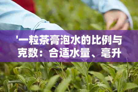 '一粒茶膏泡水的比例与克数：合适水量、毫升需求，以及用量'