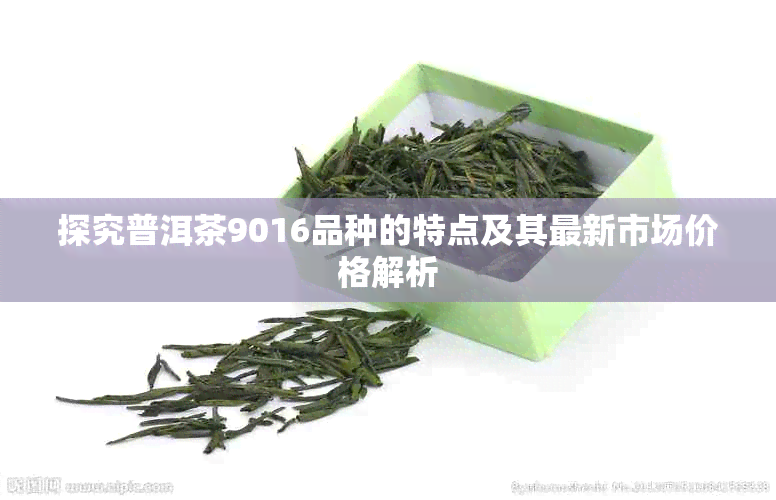 探究普洱茶9016品种的特点及其最新市场价格解析