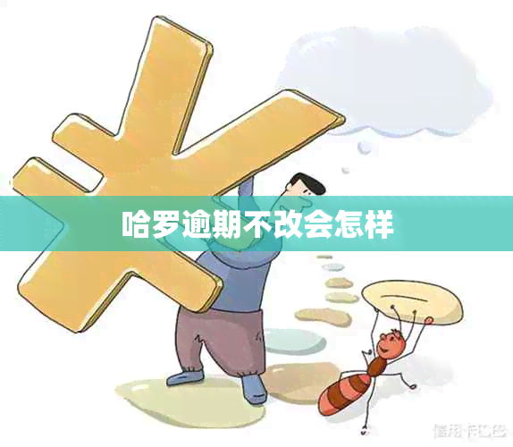 哈罗逾期不改会怎样