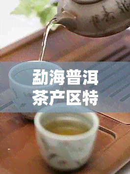 勐海普洱茶产区特点介绍：独特生态环境与醇厚口感的完美结合