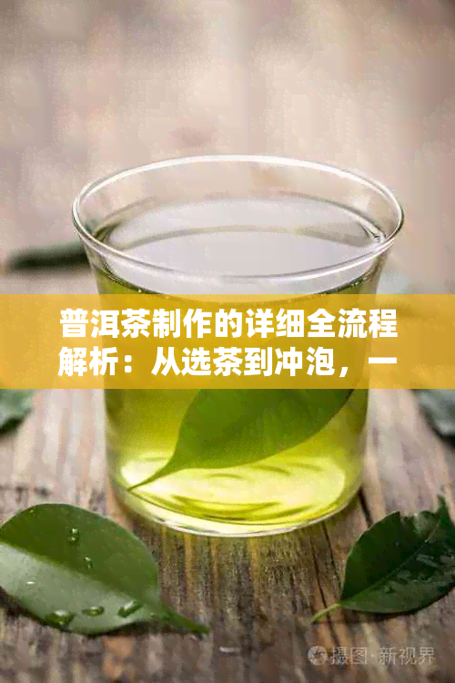 普洱茶制作的详细全流程解析：从选茶到冲泡，一步步教你轻松掌握制作工艺！