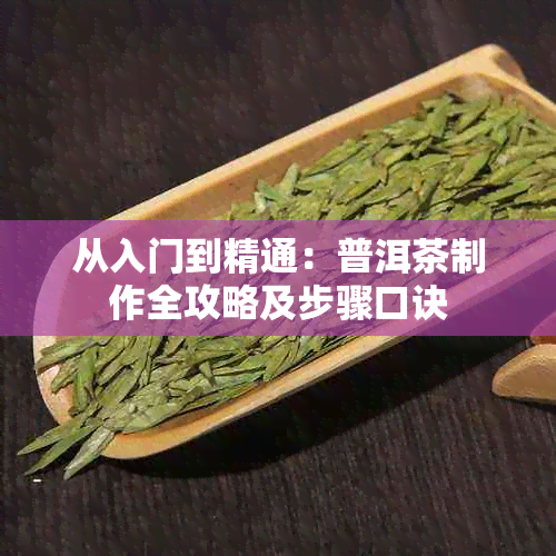 从入门到精通：普洱茶制作全攻略及步骤口诀