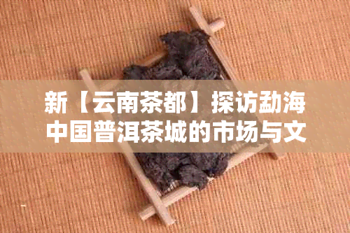 新【云南茶都】探访勐海中国普洱茶城的市场与文化魅力