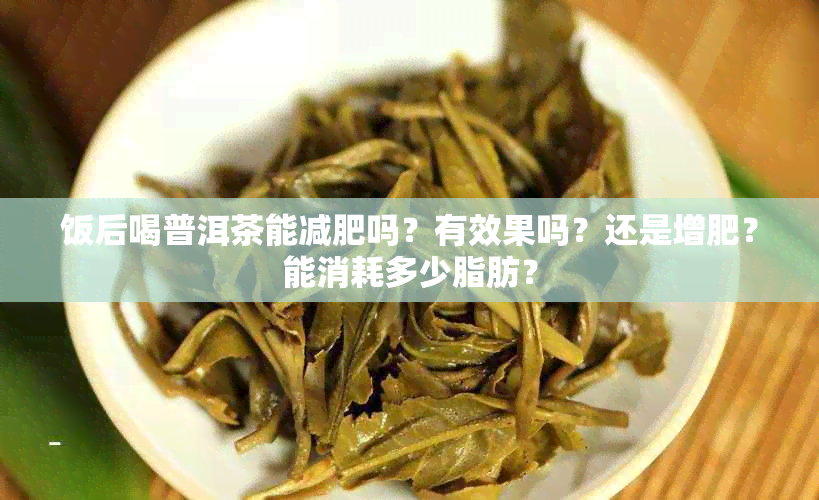 饭后喝普洱茶能减肥吗？有效果吗？还是增肥？能消耗多少脂肪？