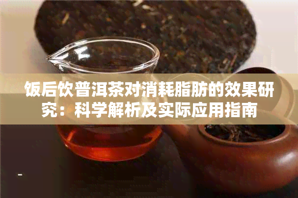 饭后饮普洱茶对消耗脂肪的效果研究：科学解析及实际应用指南