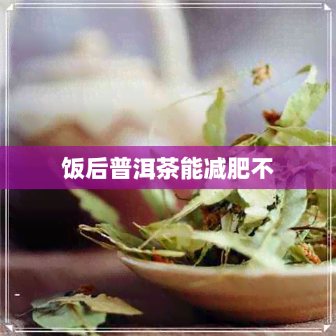 饭后普洱茶能减肥不