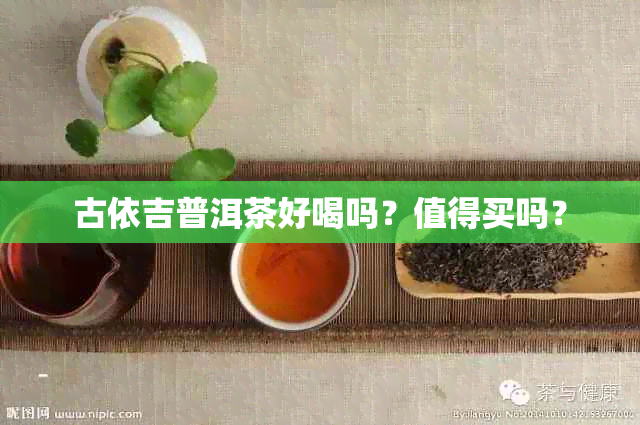 古依吉普洱茶好喝吗？值得买吗？