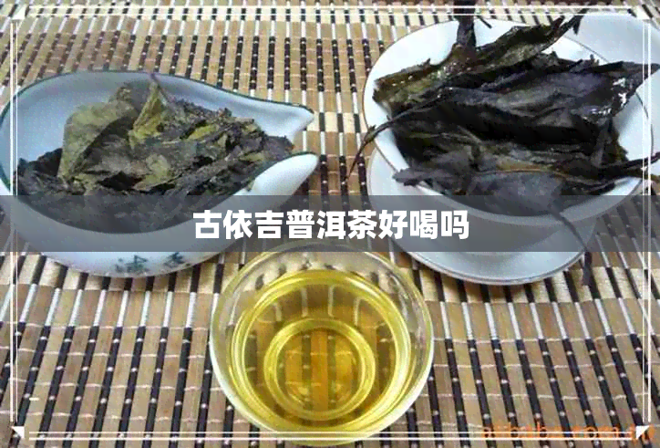 古依吉普洱茶好喝吗