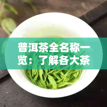 普洱茶全名称一览：了解各大茶企，探索茶叶世界