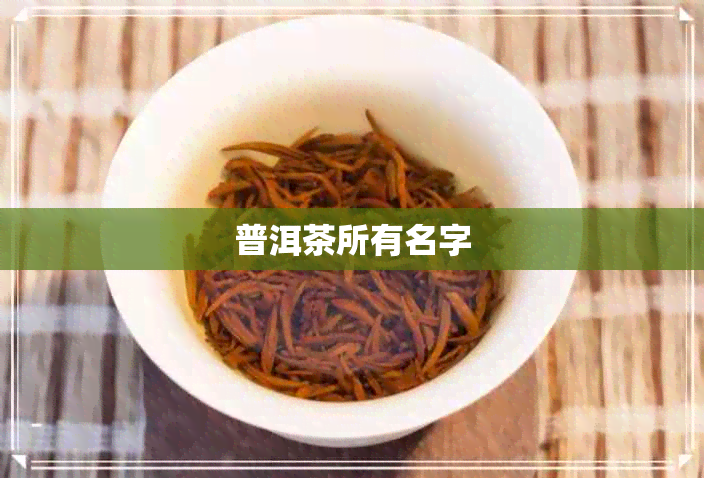 普洱茶所有名字