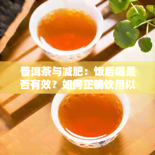 普洱茶与减肥：饭后喝是否有效？如何正确饮用以达到效果？