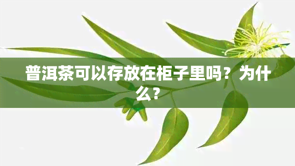 普洱茶可以存放在柜子里吗？为什么？