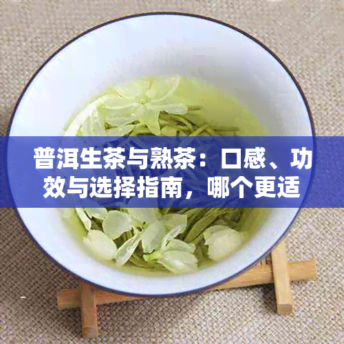 普洱生茶与熟茶：口感、功效与选择指南，哪个更适合您？