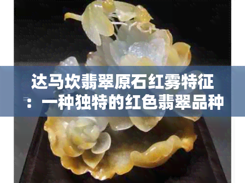 达马坎翡翠原石红雾特征：一种独特的红色翡翠品种解析