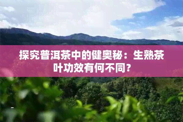 探究普洱茶中的健奥秘：生熟茶叶功效有何不同？