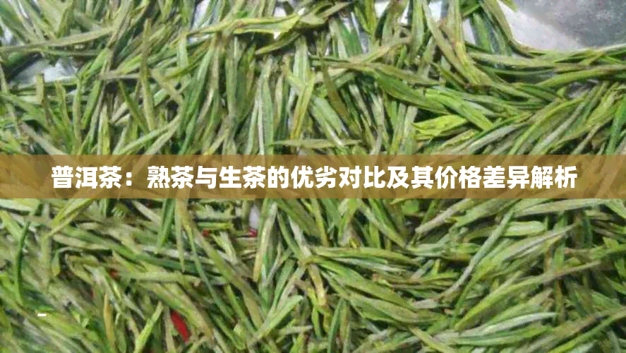 普洱茶：熟茶与生茶的优劣对比及其价格差异解析