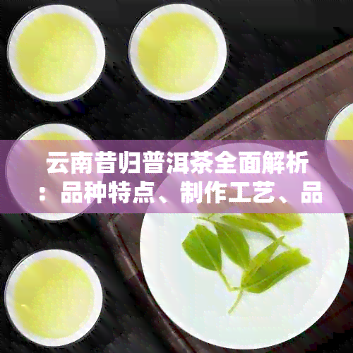 云南昔归普洱茶全面解析：品种特点、制作工艺、品饮方法等一应俱全！